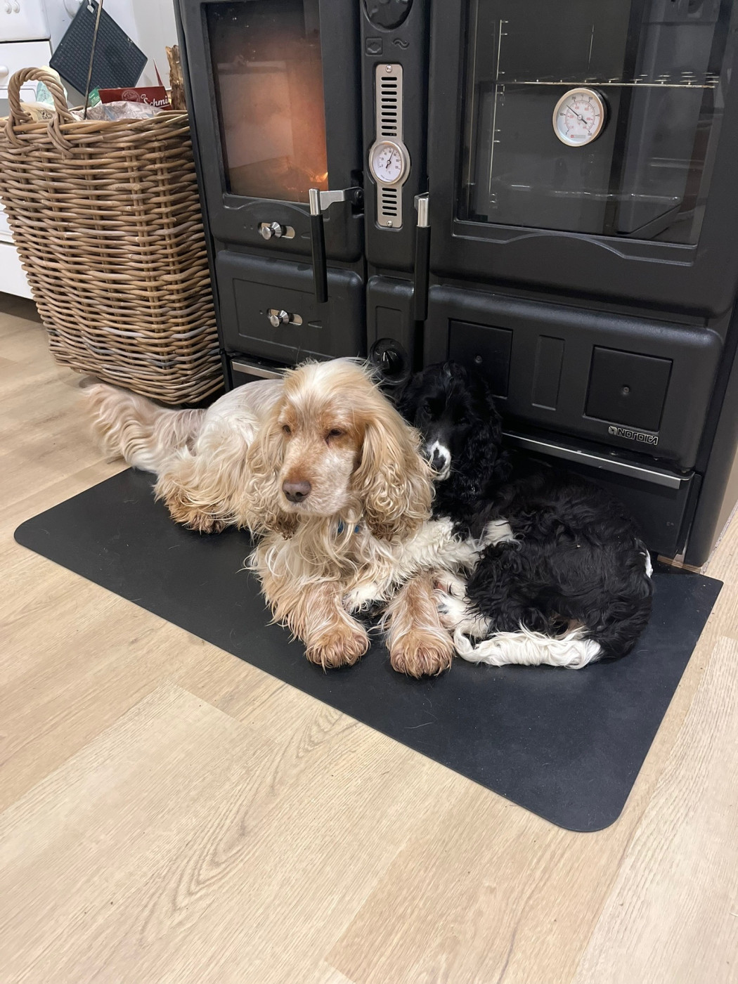 Vella et Piper